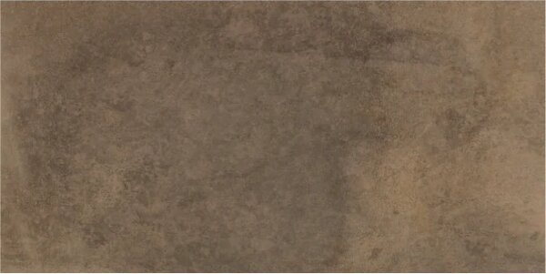 Dlažba/obklad Disk Brown 30x60 rect