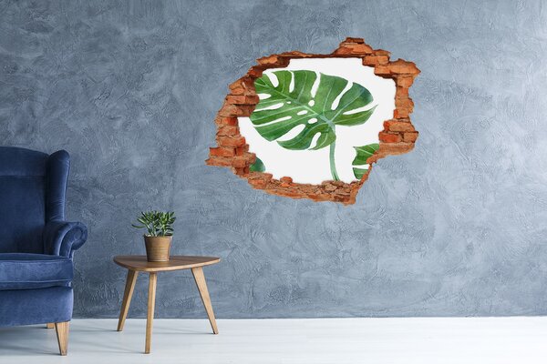 Nálepka 3D díra na zeď beton Monstera nd-c-73453998