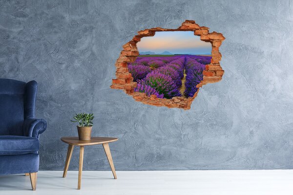 Nálepka fototapeta 3D výhled Pole levandule nd-c-73534253