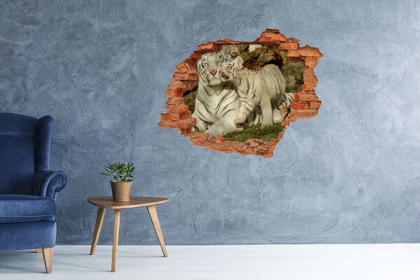 Díra 3D fototapeta nálepka Tygři nd-c-73601237