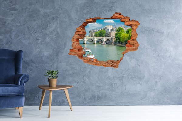 Fototapeta díra na zeď 3D Seina Paříž nd-c-73852810