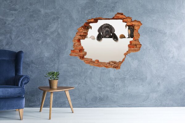 Díra 3D fototapeta nálepka Tři štěňátka nd-c-75383603