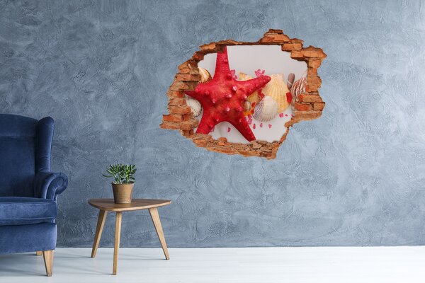 Díra 3D fototapeta Hvězdice a mušle nd-c-75838454