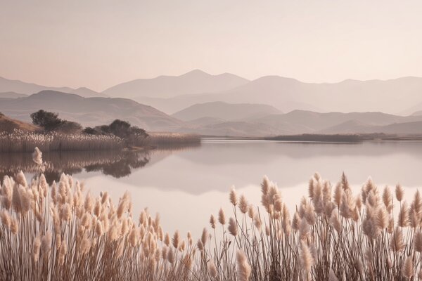 Fototapety pohled na jezero s rákosím, Fototapety příroda, w04207 : uwalls.cz