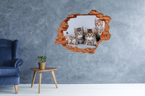 Díra 3D fototapeta nálepka Pět koček nd-c-75950374