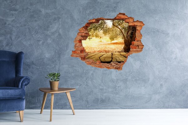 Nálepka fototapeta 3D výhled Olivovník nd-c-77330786