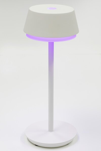 STOLNÍ LED LAMPA, dotykový stmívač, 12/30 cm Dieter Knoll - Online Only svítidla, Online Only