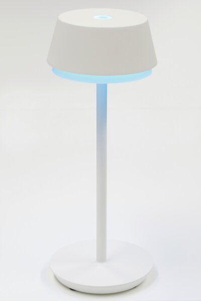 STOLNÍ LED LAMPA, dotykový stmívač, 12/30 cm Dieter Knoll - Online Only svítidla, Online Only