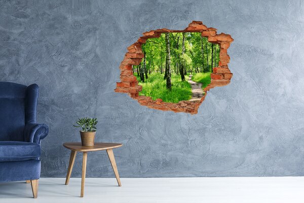 Nálepka fototapeta 3D výhled Břízový les nd-c-78692232