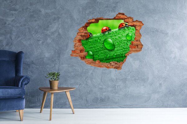 Díra 3D fototapeta Berušky na trávě nd-c-79213715