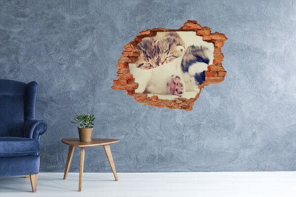 Díra 3D fototapeta na stěnu Dvě kočky a pes nd-c-78906407