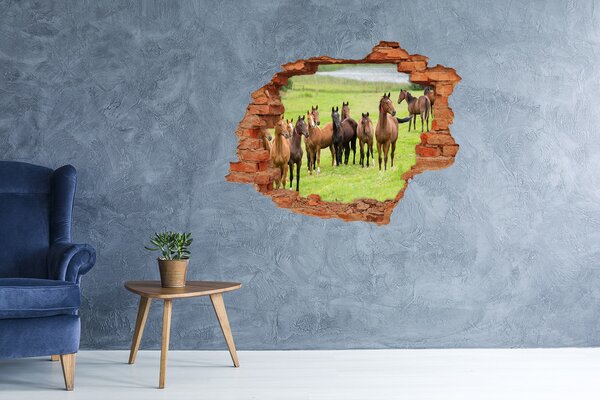 Díra 3D fototapeta nálepka Stádo koní na louce nd-c-79057196