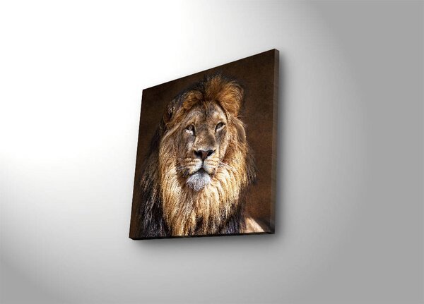 ASIR Nástěnný obraz s LED osvětlením LION
