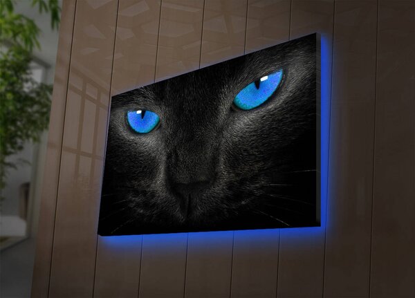 ASIR Nástěnný obraz s LED osvětlením CAT