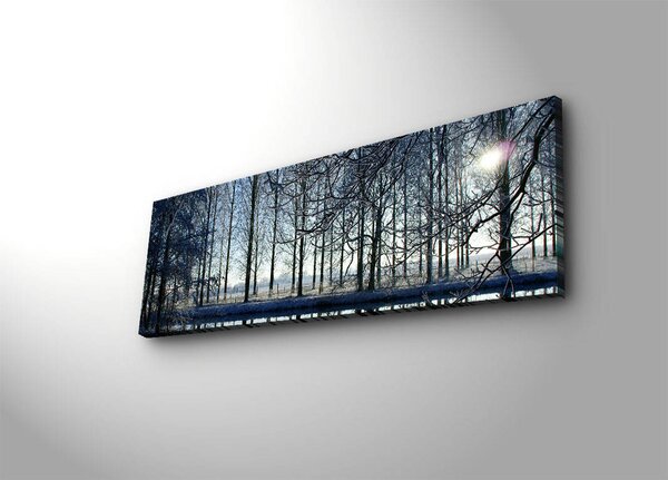 ASIR Nástěnný obraz s LED osvětlením WINTER