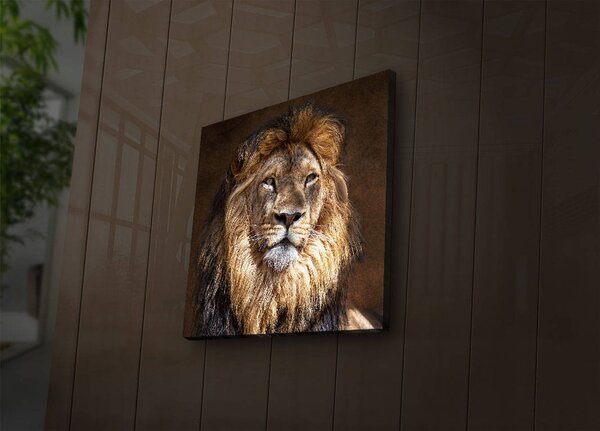 ASIR Nástěnný obraz s LED osvětlením LION