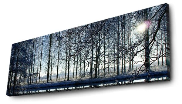ASIR Nástěnný obraz s LED osvětlením WINTER