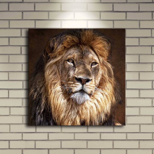 ASIR Nástěnný obraz s LED osvětlením LION