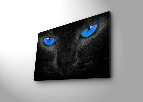 ASIR Nástěnný obraz s LED osvětlením CAT