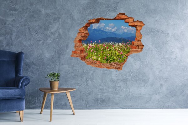 Nálepka fototapeta 3D výhled Louka v horách nd-c-80010244