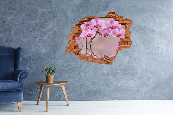 Samolepící díra na stěnu Růžová orchidej nd-c-79883275