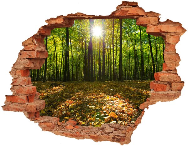 Nálepka fototapeta 3D výhled beton Les nd-c-80221074