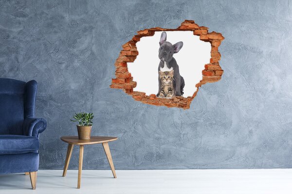 Díra 3D fototapeta na stěnu Pes a kočka nd-c-80558737