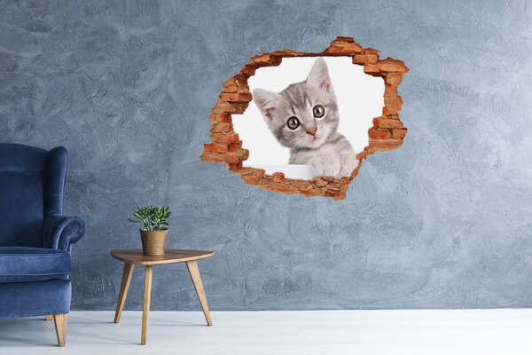 Díra 3D fototapeta na stěnu Šedá kočka nd-c-80791907