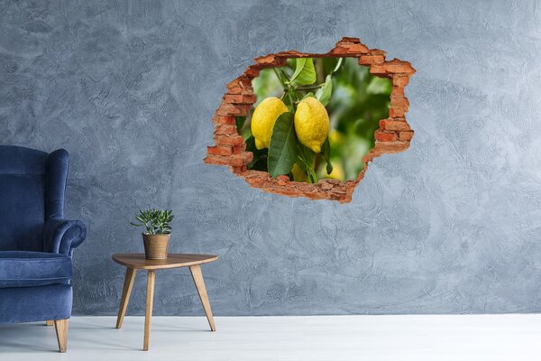 Samolepící nálepka Citrony na stromě nd-c-80843787