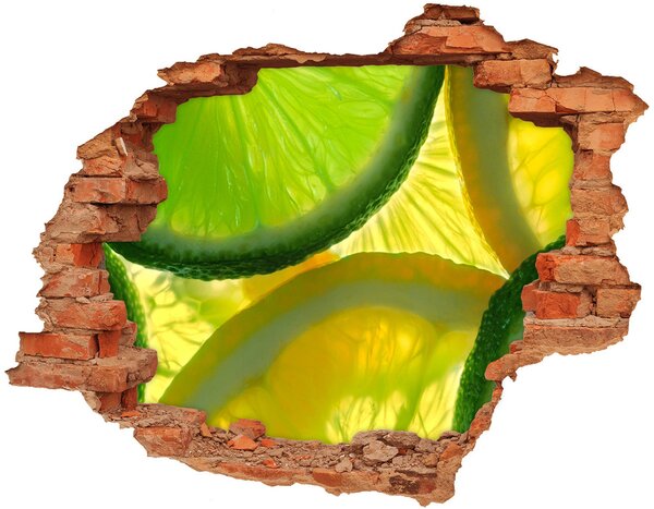 Nálepka díra na zeď Limetka a citron nd-c-81010621