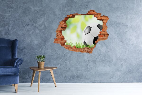 Foto fotografie díra na zeď Fotbal nd-c-80877842