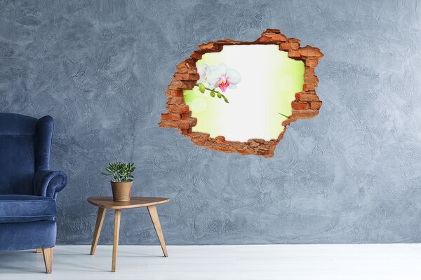 Fototapeta díra na zeď Orchidej a bambus nd-c-82165838
