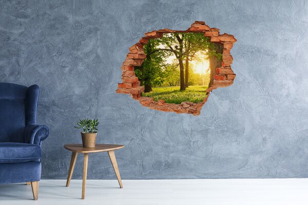 Nálepka fototapeta 3D výhled Stromy v parku nd-c-82116475