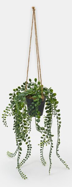 Sinsay - Decorative plant in a pot - zelená