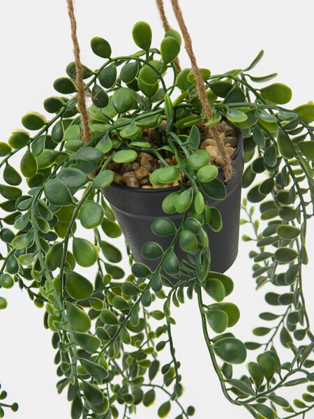 Sinsay - Decorative plant in a pot - zelená
