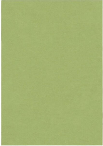Breno Kusový koberec COLOR UNI Dark Green, 60x100 cm, Zelená