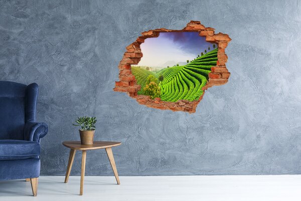 Nálepka fototapeta 3D Plantáž čaje nd-c-83004057