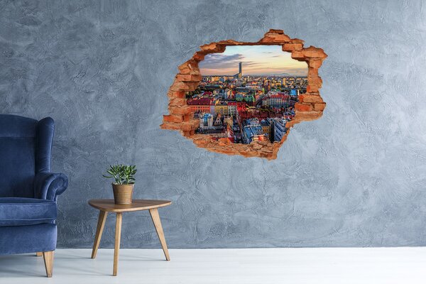 Fototapeta díra na zeď 3D Panorama Vratislav nd-c-84243911