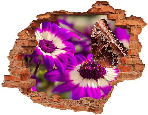 Samolepící díra na stěnu Motýl na květině nd-c-84885251
