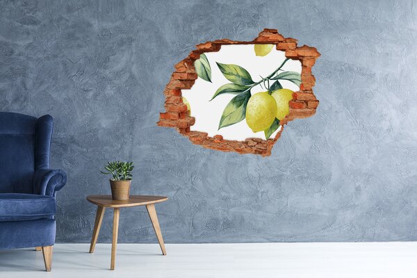 Samolepící nálepka beton Citrony nd-c-85316646