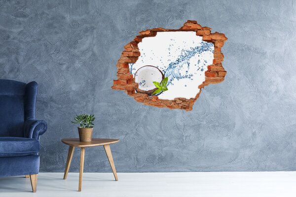 Fototapeta díra na zeď Kokos a voda nd-c-85744184