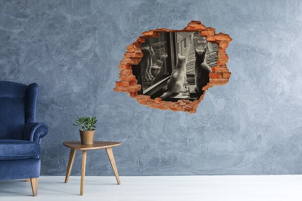 Díra 3D fototapeta nálepka Kočky u okna nd-c-86646592