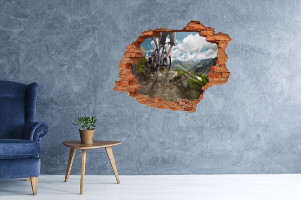 Foto fotografie díra na zeď Horská cyklistika nd-c-86431808