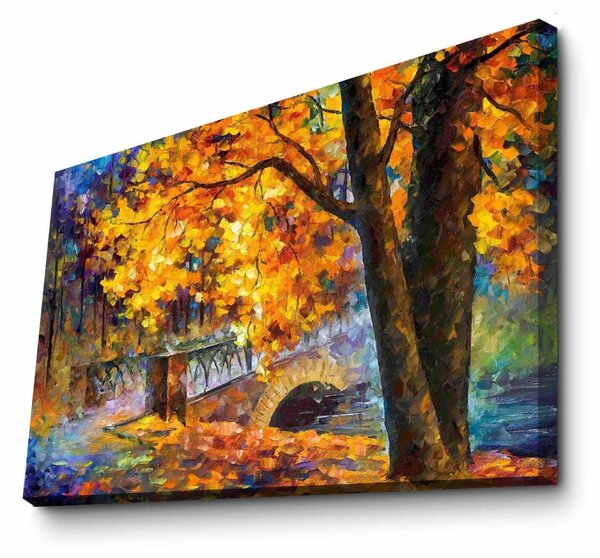 Wallity Obraz LEONED 70x100 cm vícebarevný