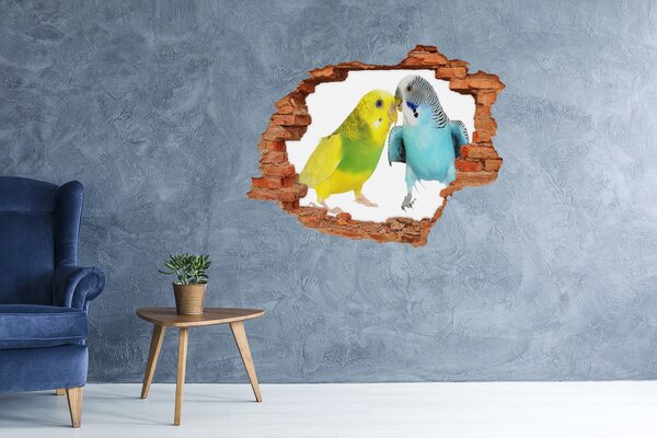 Díra 3D fototapeta nálepka Andulky nd-c-87232462