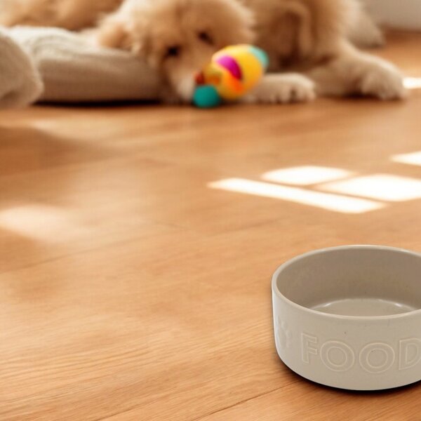 PERRO miska food