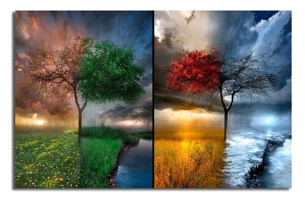 Wallity Obraz SEASONS 45x70 cm vícebarevný