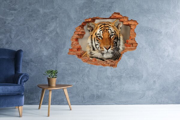 Díra 3D foto tapeta nálepka Bengálský tygr nd-c-88747131