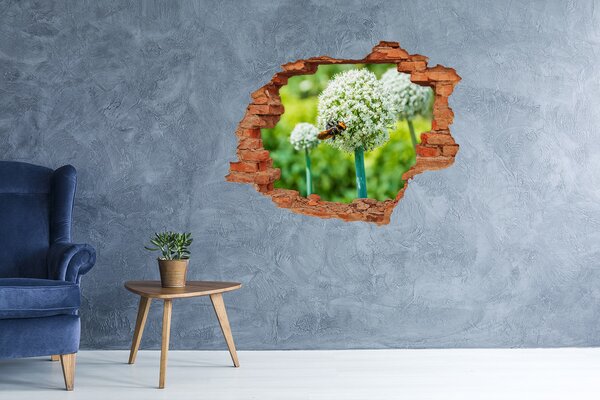 Samolepící díra na stěnu Kvetoucí česnek nd-c-88554833