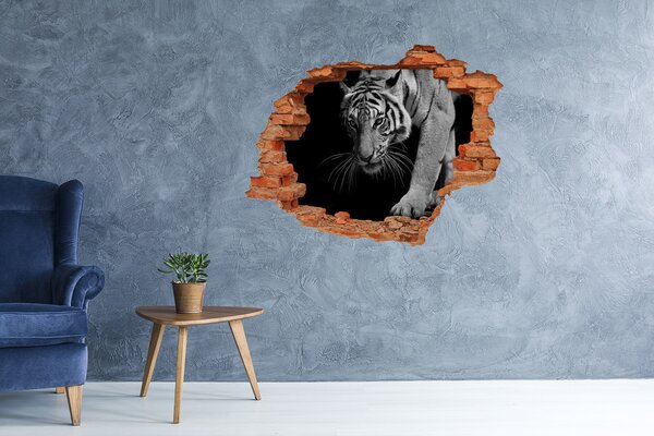 Díra 3D foto tapeta nálepka Tygr nd-c-89533463